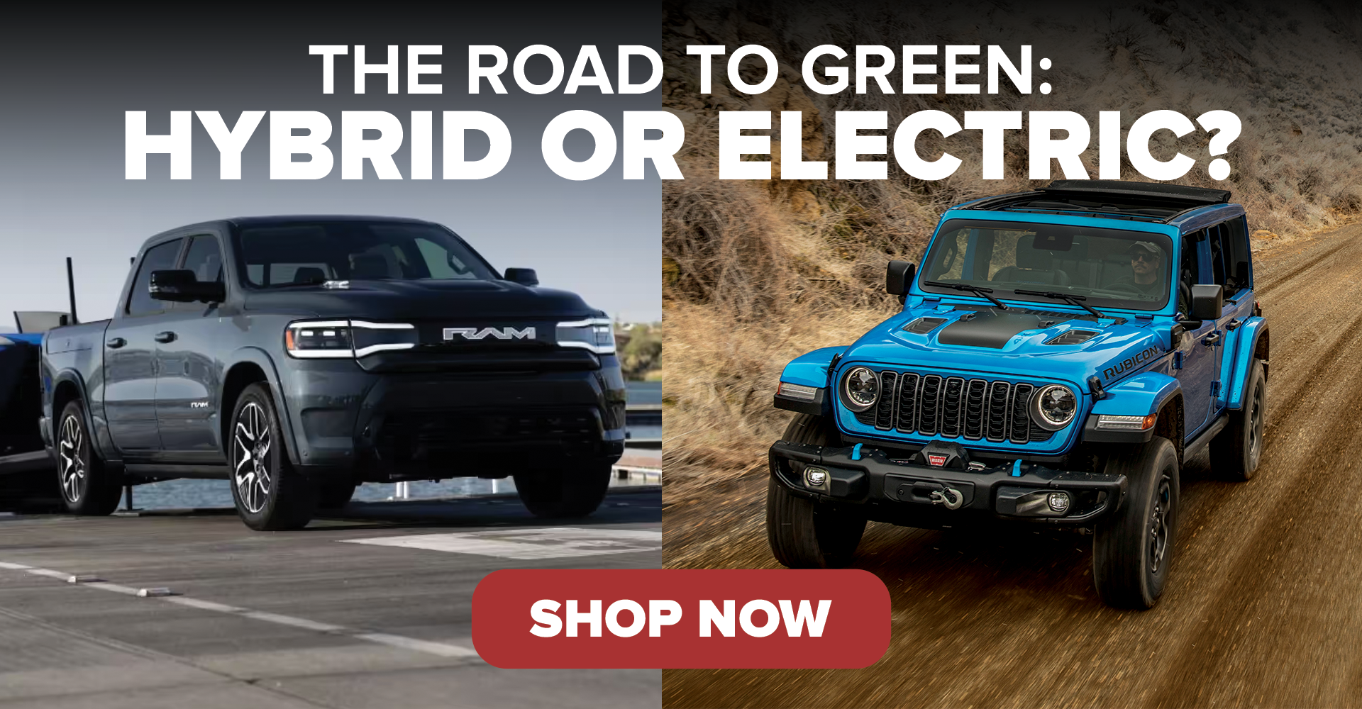 Hybrid vs Electric Cars