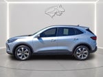 2023 Ford Escape Hybrid Platinum