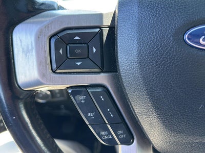 2020 Ford Super Duty F-450 Drw Platinum