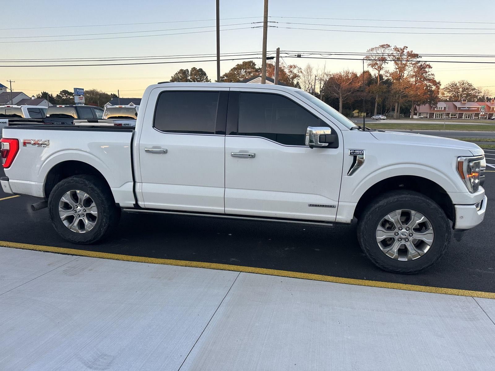 2021 Ford F-150 Platinum