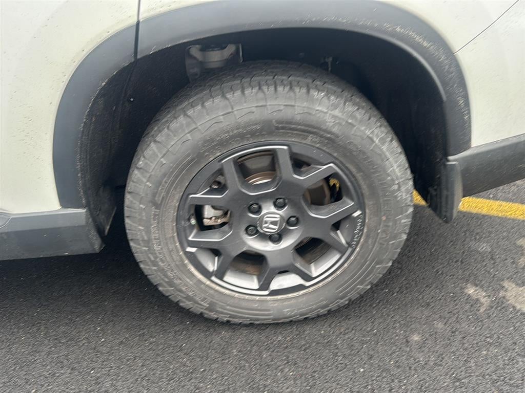 2025 Honda Pilot TrailSport