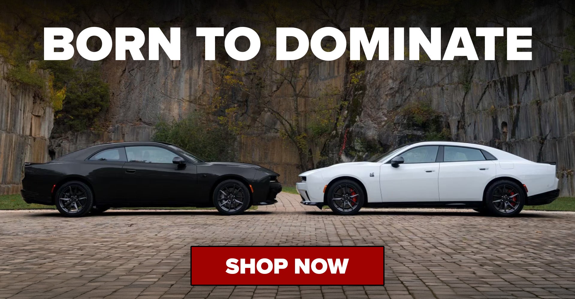 2027 Dodge Charger Millsboro DE