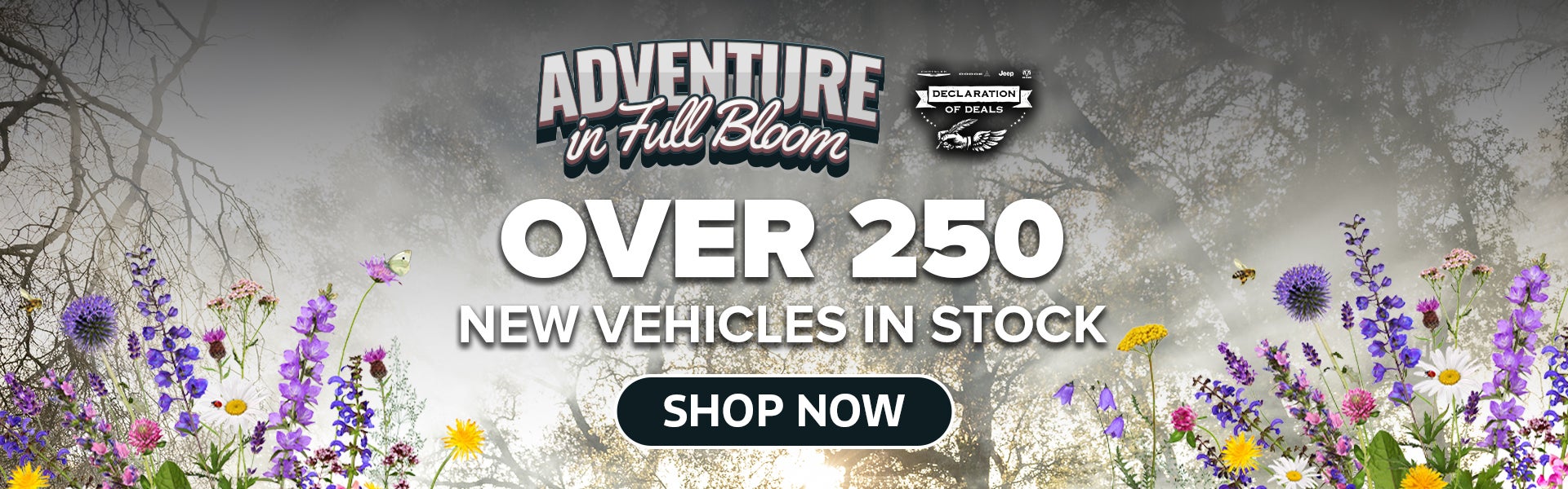 Over 250 New Vehicles in Stock