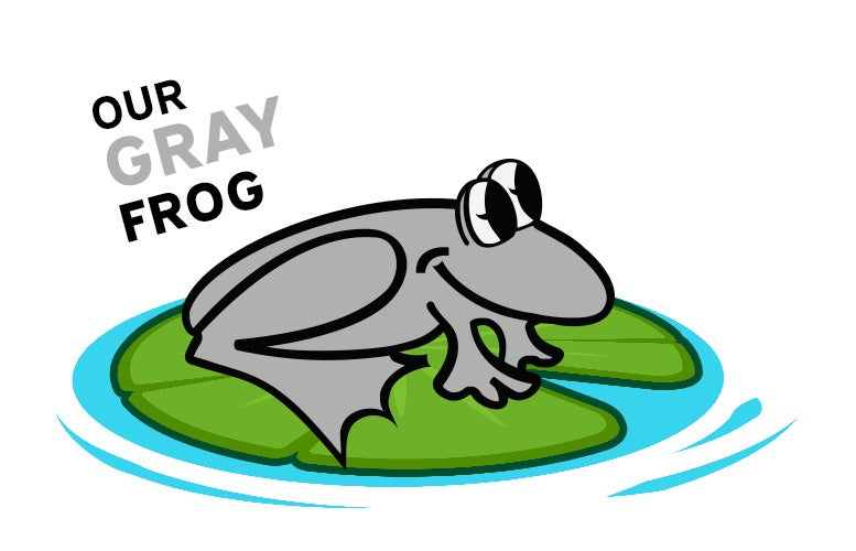 Gray Preston Frog